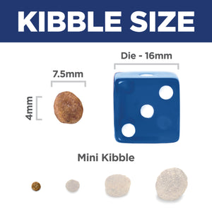 Kibble size chart with mini kibble, die, and measurements on a white background