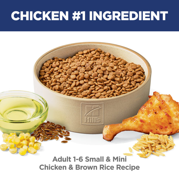 Dog food bowl with Hills pet food, chicken leg, corn, and seeds on a white background