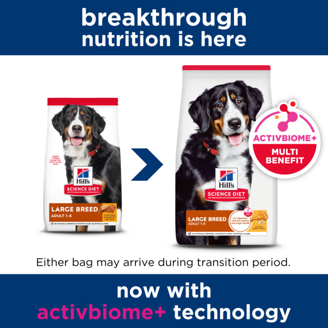 Hills Science Diet dog food package for large breed adults on a white background