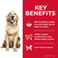 Dog on a white background with a red 'Key Benefits' panel on the right.