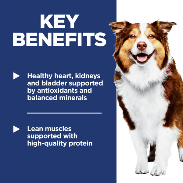 Dog with key benefits text on a blue background