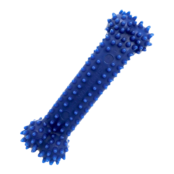 Nylabone Dental Chew Bone Original Flavour