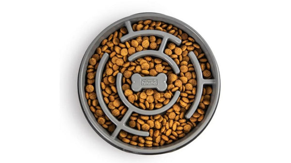 Outward Hound Fun Feeder Maze Slow Bowl