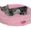 Cat lying on a pink Nobby pet bed with a white background