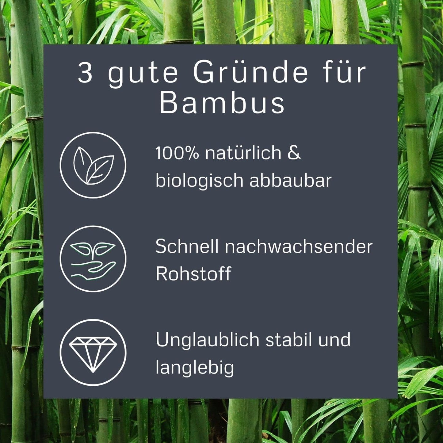 Bamboo Groom Dematting Rake with Stainless steel serrated Blades