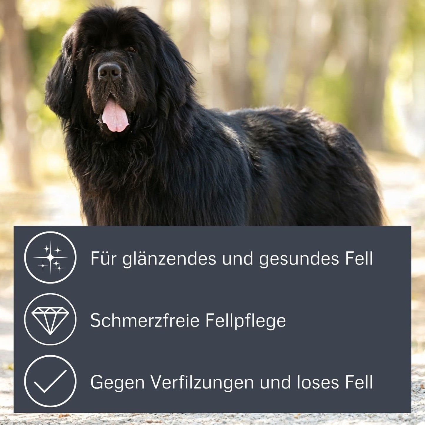 Bamboo Groom Dematting Rake with Stainless steel serrated Blades