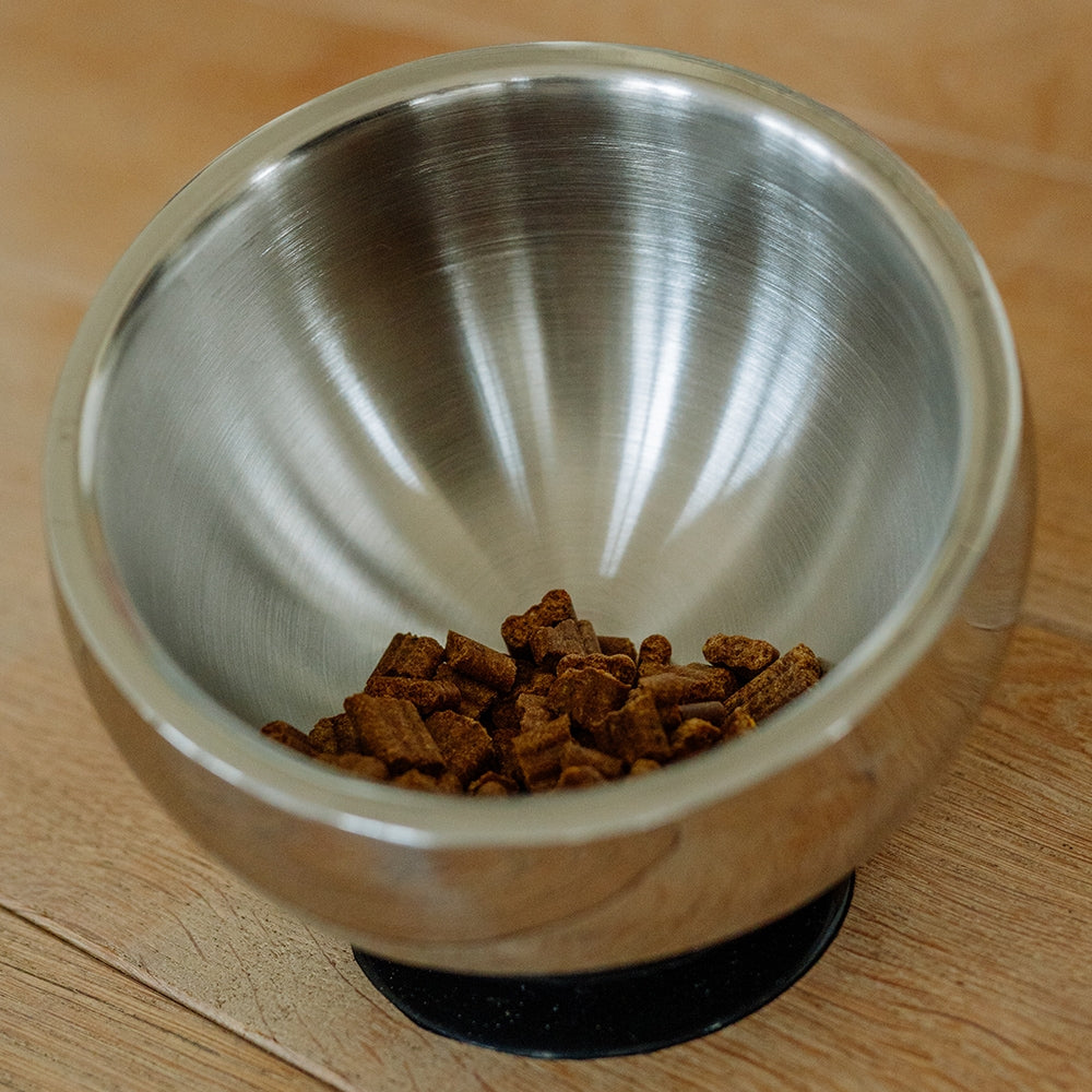 Stainless Steel Dog Bowl - Double Walled with Suction Cup Base