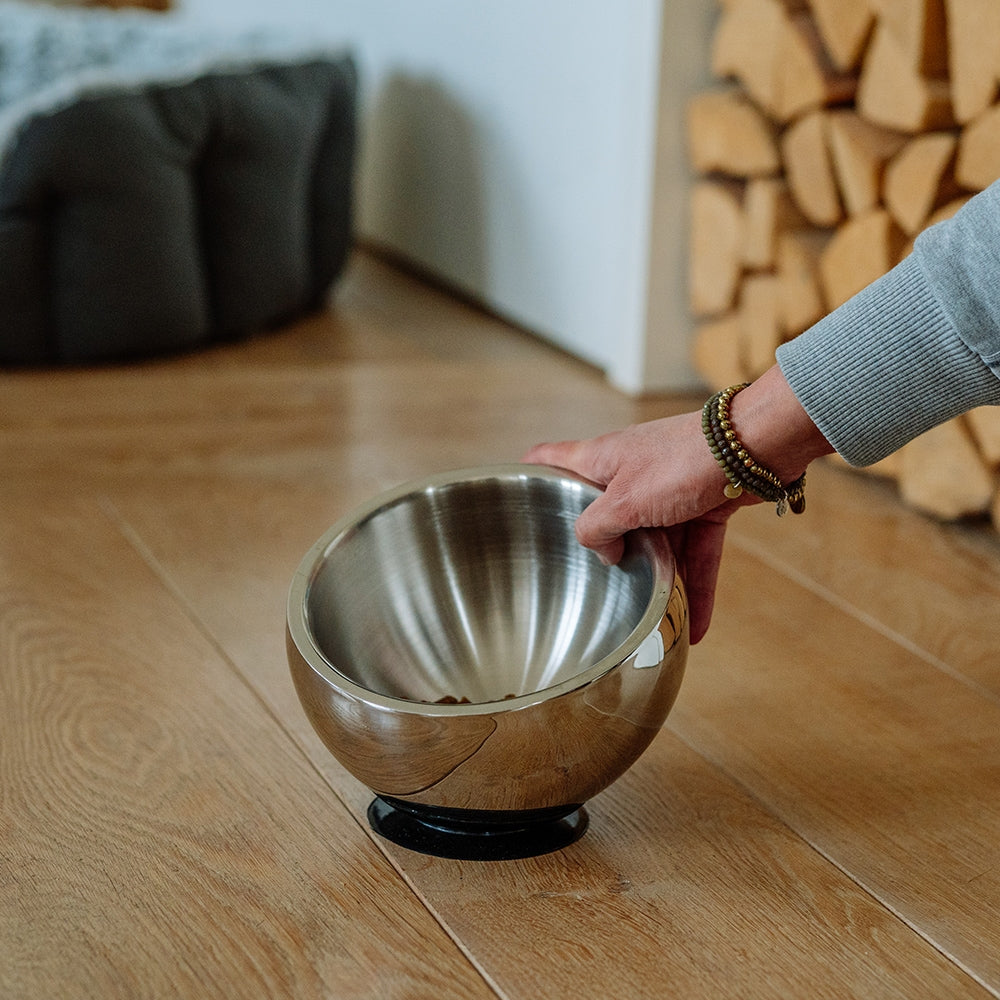 Stainless Steel Dog Bowl - Double Walled with Suction Cup Base