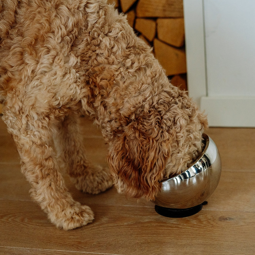 Stainless Steel Dog Bowl - Double Walled with Suction Cup Base