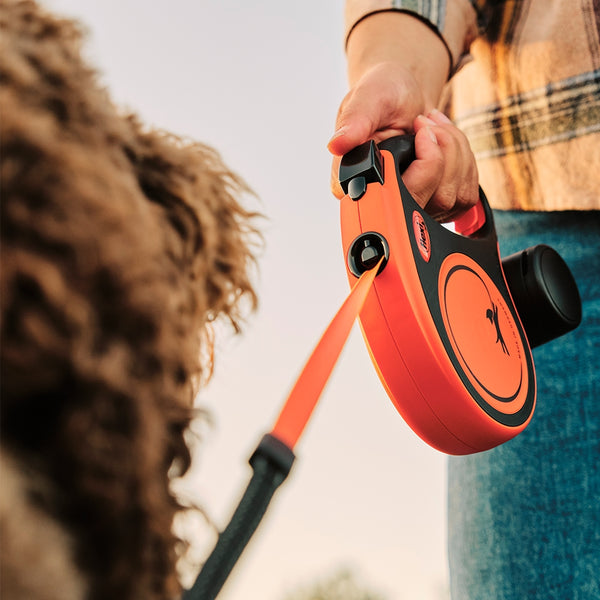 Person holding an orange dog leash with a retractable design, blurred background