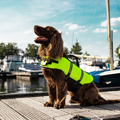Dog wearing a bright yellow life jacket on a dock with boats in the background