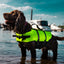 Dog wearing a bright green life jacket standing in water with boats in the background