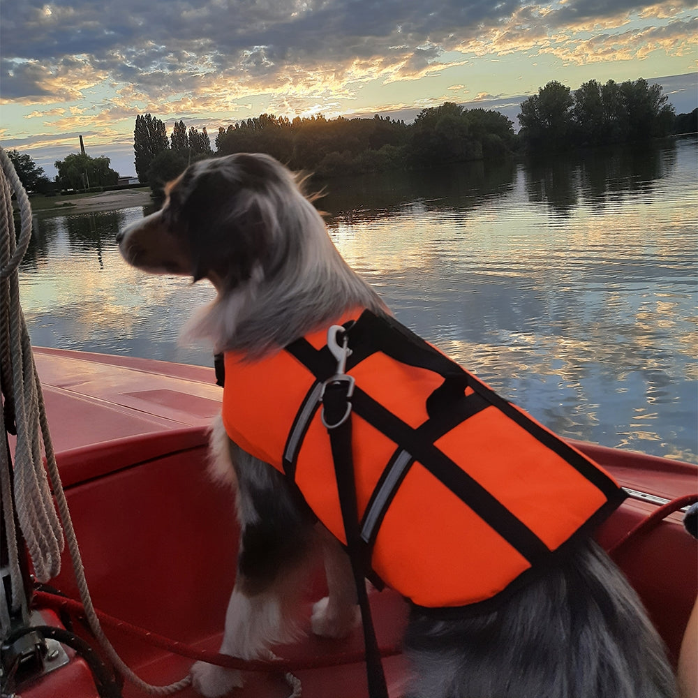 Dog wearing an orange life jacket on a boat with a sunset over water in the background