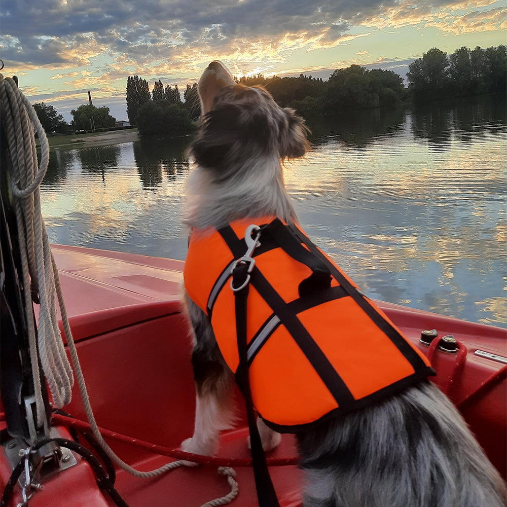 Dog wearing an orange life jacket on a boat during sunset.
