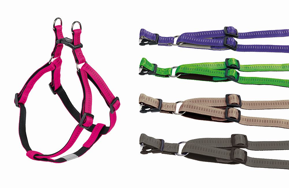 Set of dog harnesses in various colors on a white background