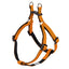 Orange and black dog harness on a white background
