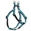 Turquoise dog harness on a white background