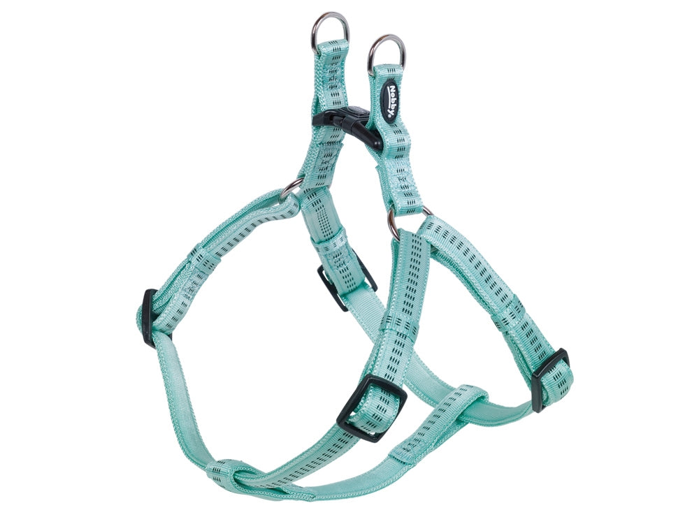 mint dog harness with black buckles on a white background