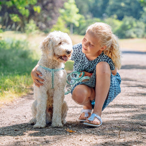 Young girl in a blue dress sitting on a path with a white dog.