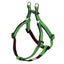 light Green and brown dog harness on a white background