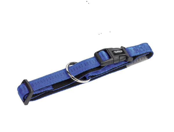 Blue dog collar with black hardware on a white background