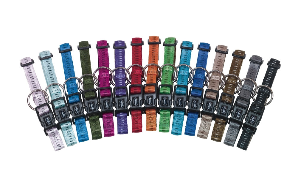 Assorted dog collars in various colors on a white background