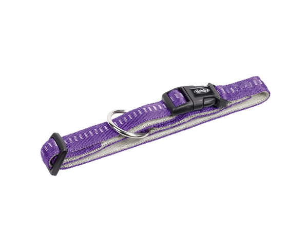 Purple dog collar with a metal buckle on a white background