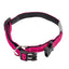 Pfuchsia  dog collar with black hardware on a white background