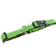 light Green dog collar with a black buckle on a white background