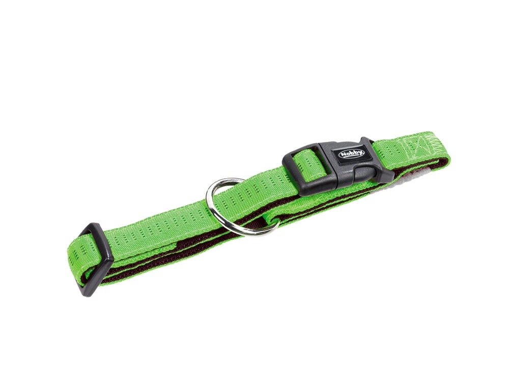 light Green dog collar with a black buckle on a white background