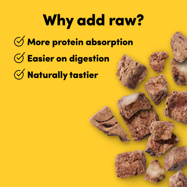 Raw pet food pieces on a yellow background with text about benefits of raw feeding.