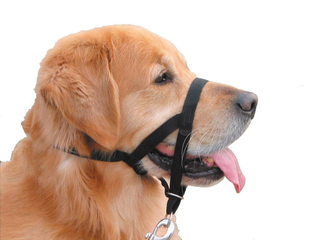 Easy Leader Dog Training Head Collar - No-Pull Leash Training Aid