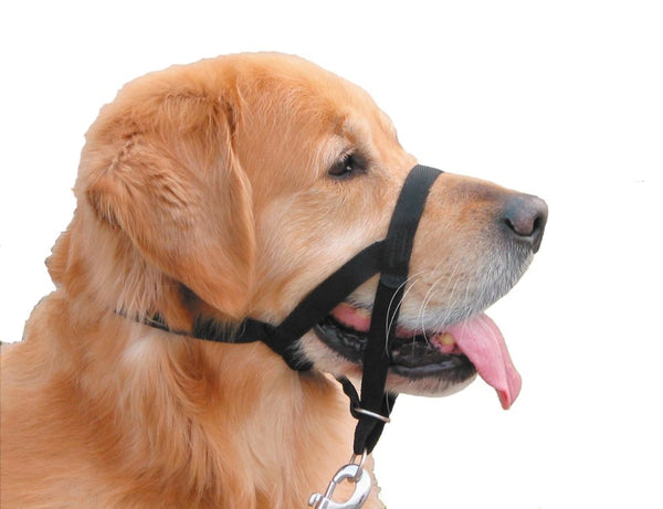 Easy Leader Dog Training Head Collar - No-Pull Leash Training Aid