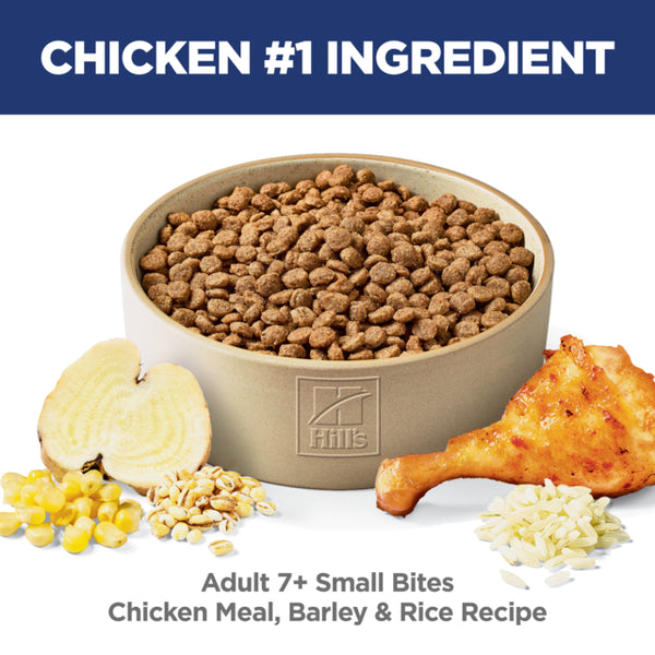 Bowl of Hills dog food with chicken, barley, and rice ingredients on a white background