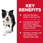 Dog with key benefits text on a red background