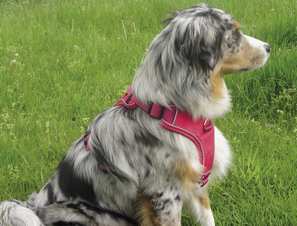 Nobby Comfort "Harness Mailo Mesh Fabric & reflective Strips