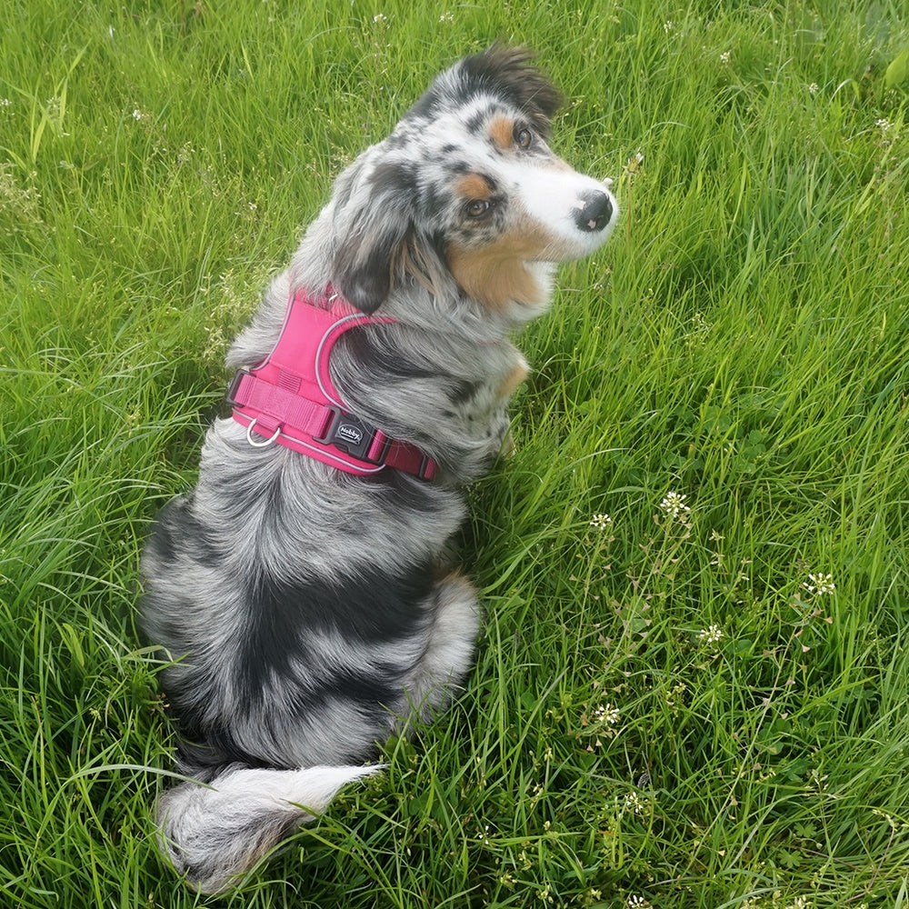 Nobby Comfort "Harness Mailo Mesh Fabric & reflective Strips