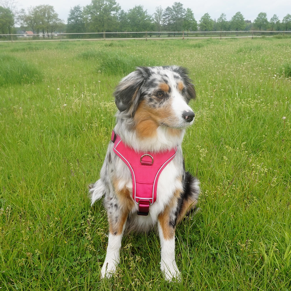 Nobby Comfort "Harness Mailo Mesh Fabric & reflective Strips