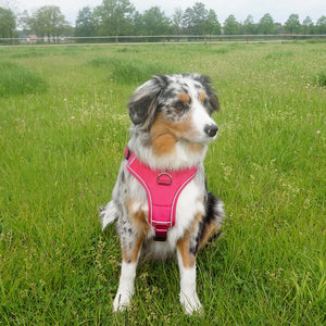 Nobby Comfort "Harness Mailo Mesh Fabric & reflective Strips