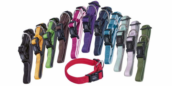 Classic Preno Collar