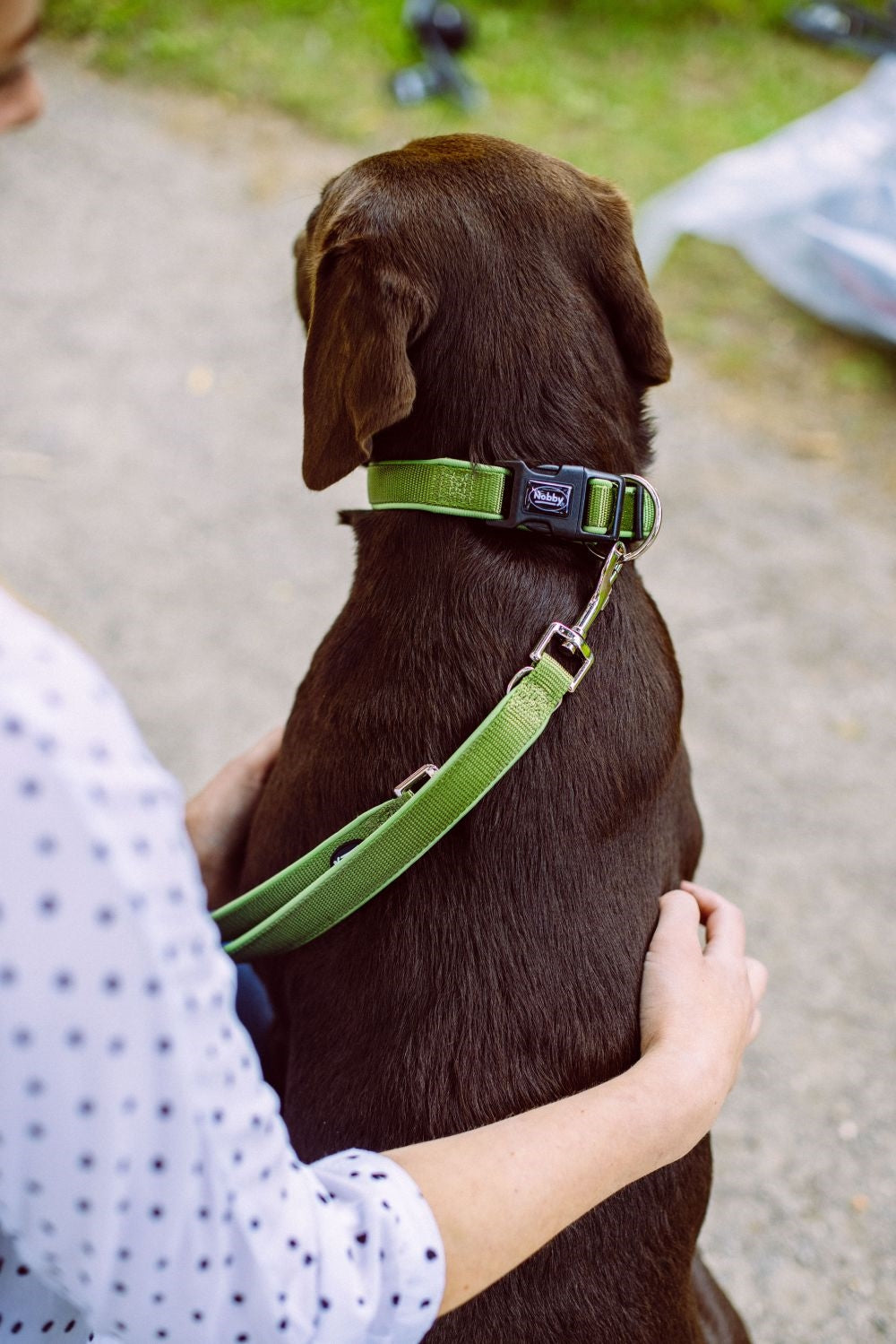 Classic Preno collar forest green