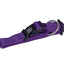 Classic Preno collar  purple