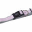 Classic Preno collar  lillac