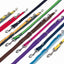 Set of colorful dog leashes arranged in a row on a white background