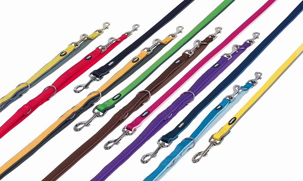 Set of colorful dog leashes arranged in a row on a white background