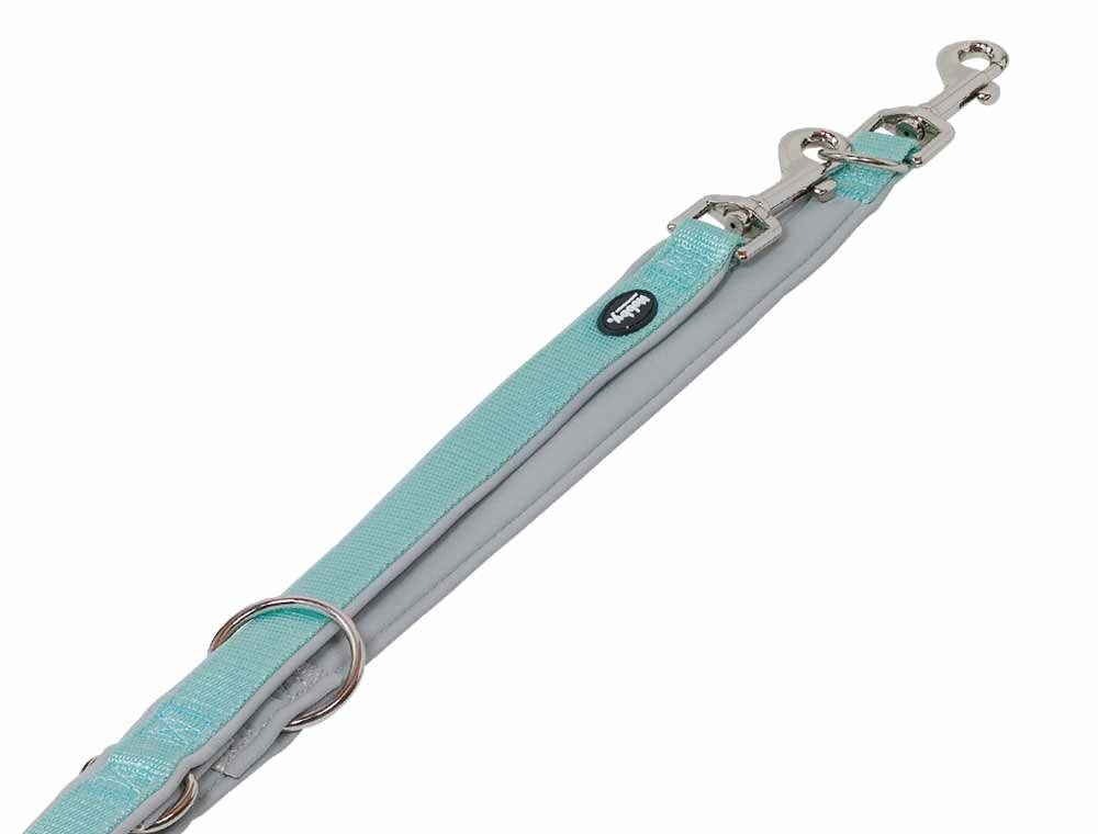 Dog leash with mint strap and silver hardware on a white background