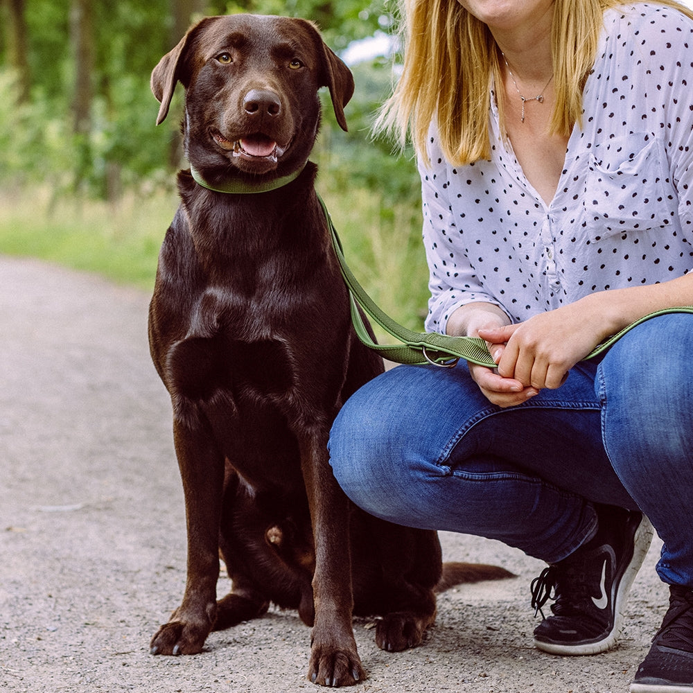 Dog Training Leash Classic Preno - 3-Way Adjustable 200cm Neoprene Leash | Nobby