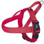 Red dog harness with black buckle on a white background