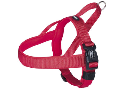 Red dog harness with black buckle on a white background