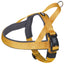 Yellow and gray dog harness on a white background